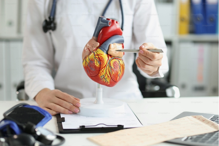 Cardiology