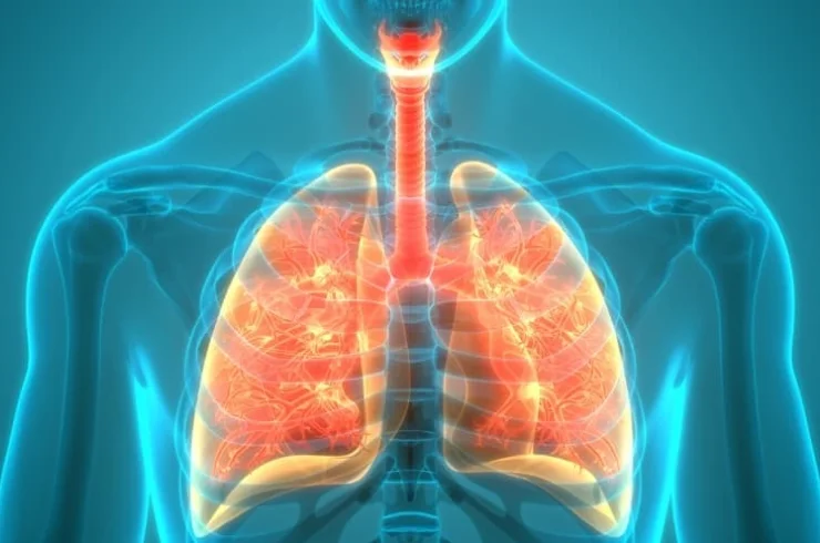 Respiratory Medicine